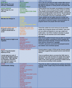 Naturopathic medicine and psychotherapy at the Head to Toe Health Centre in Kensington Market, Toronto